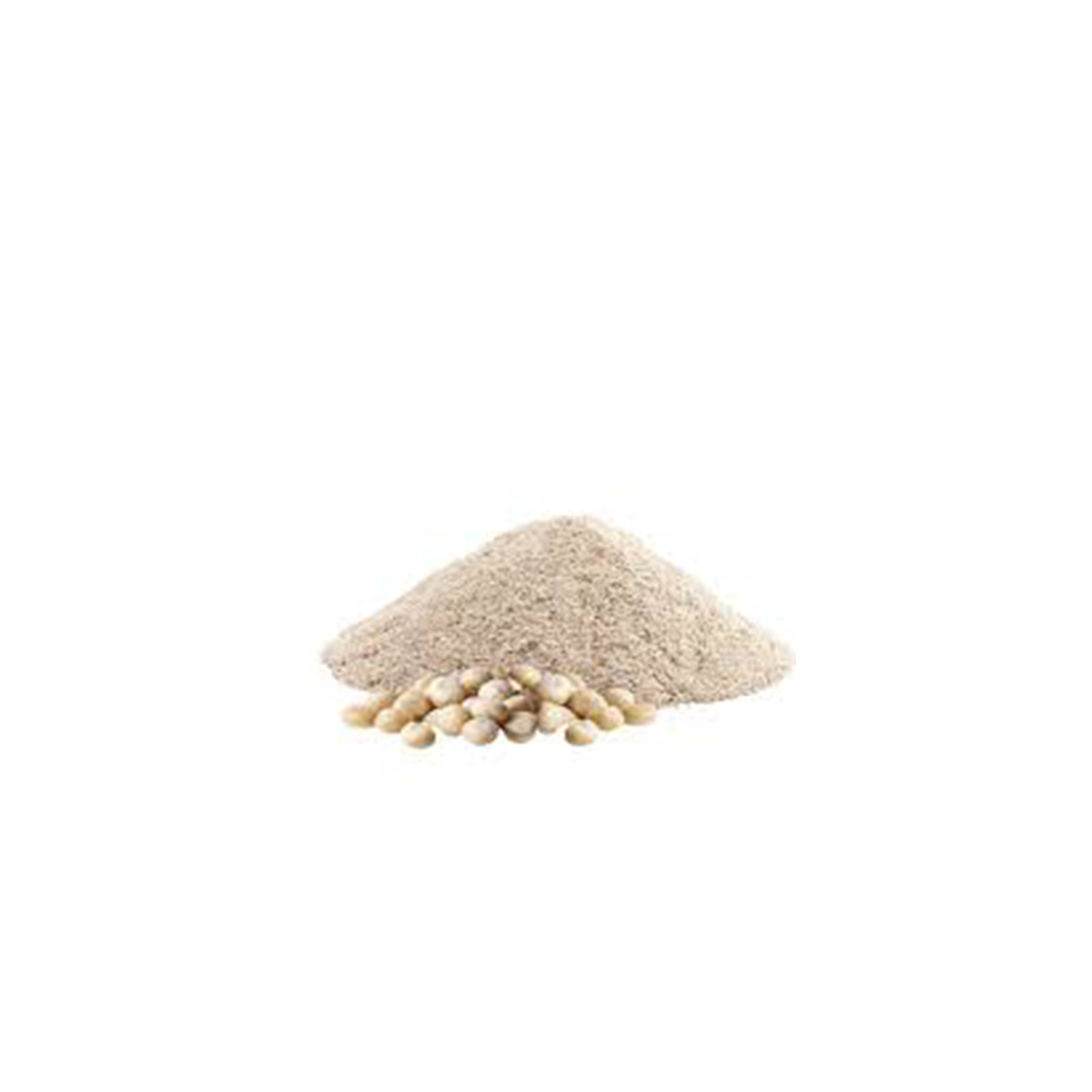 SAFED MIRCH POWDER
