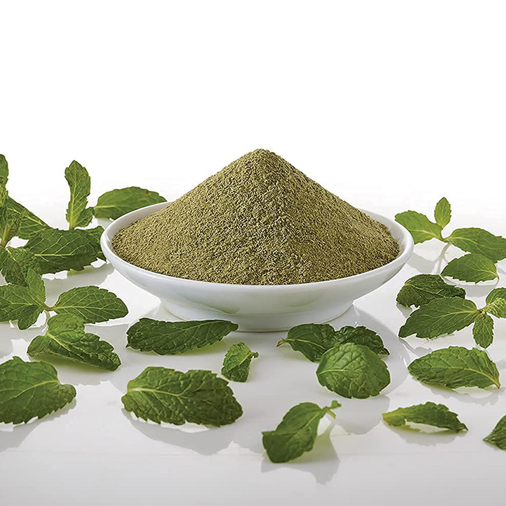 PUDINA POWDER