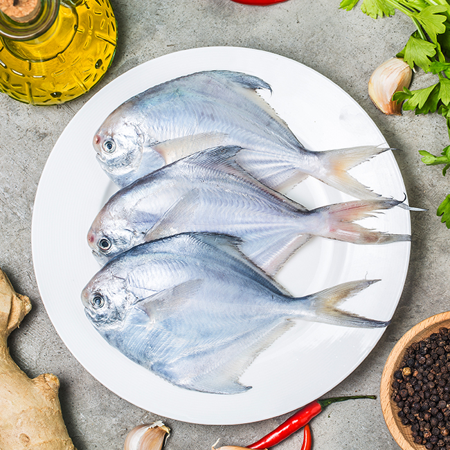 Fish-Pomfret-01