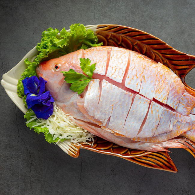 Fresh Fish